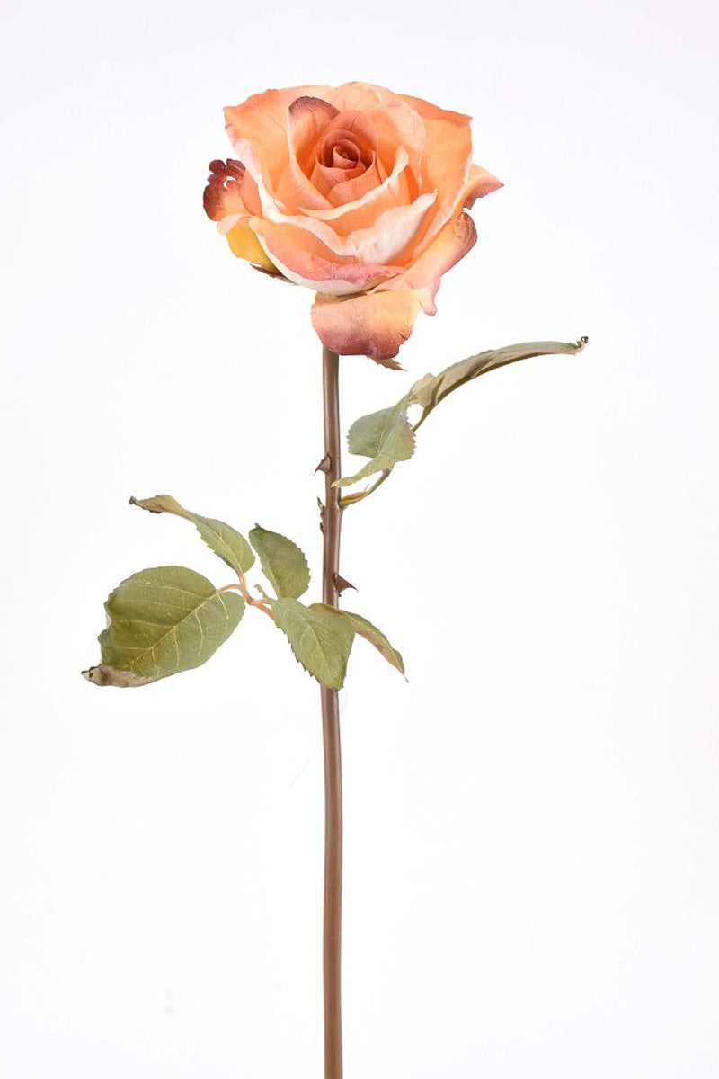SILK, DRIED ROSE STEM 21"