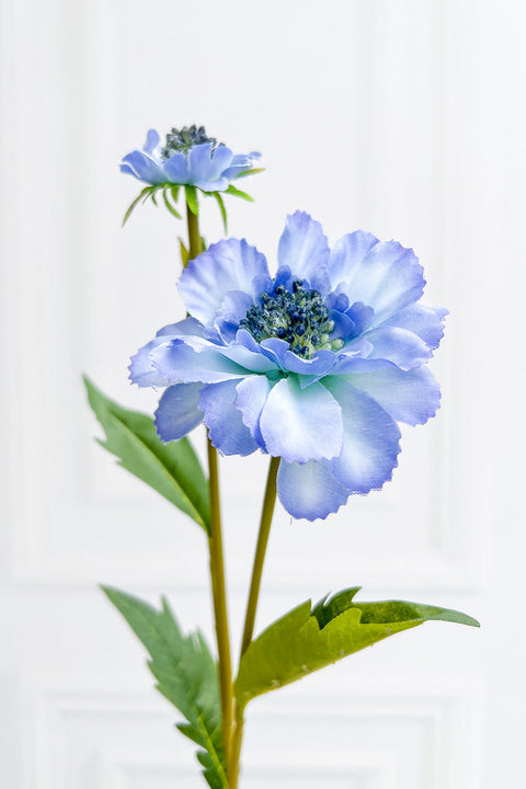 SILK SCABIOSA STM 23" BLUE