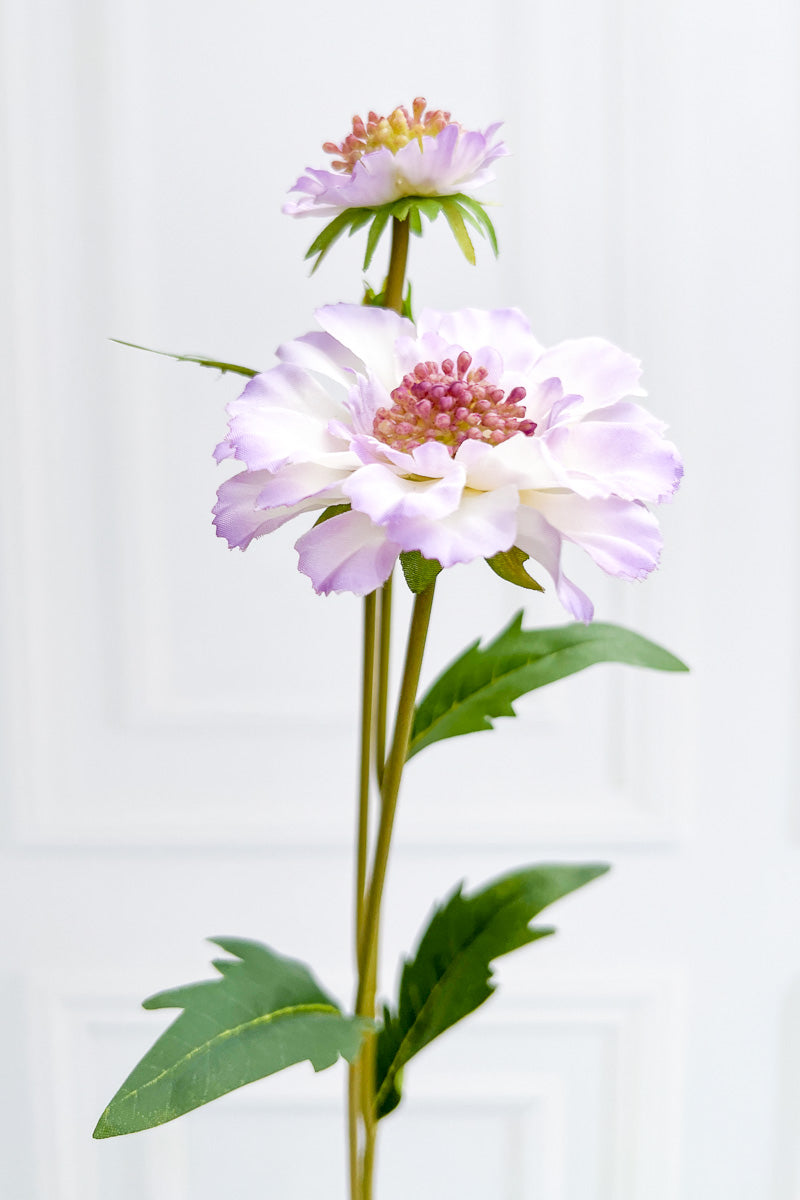 SILK SCABIOSA STM 23" LAVENDER