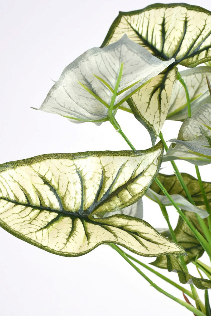 SILK CALADIUM BUSH 14" GREEN