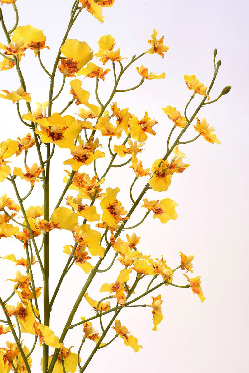 SILK DANCING ORCHID SPRY 38" Y