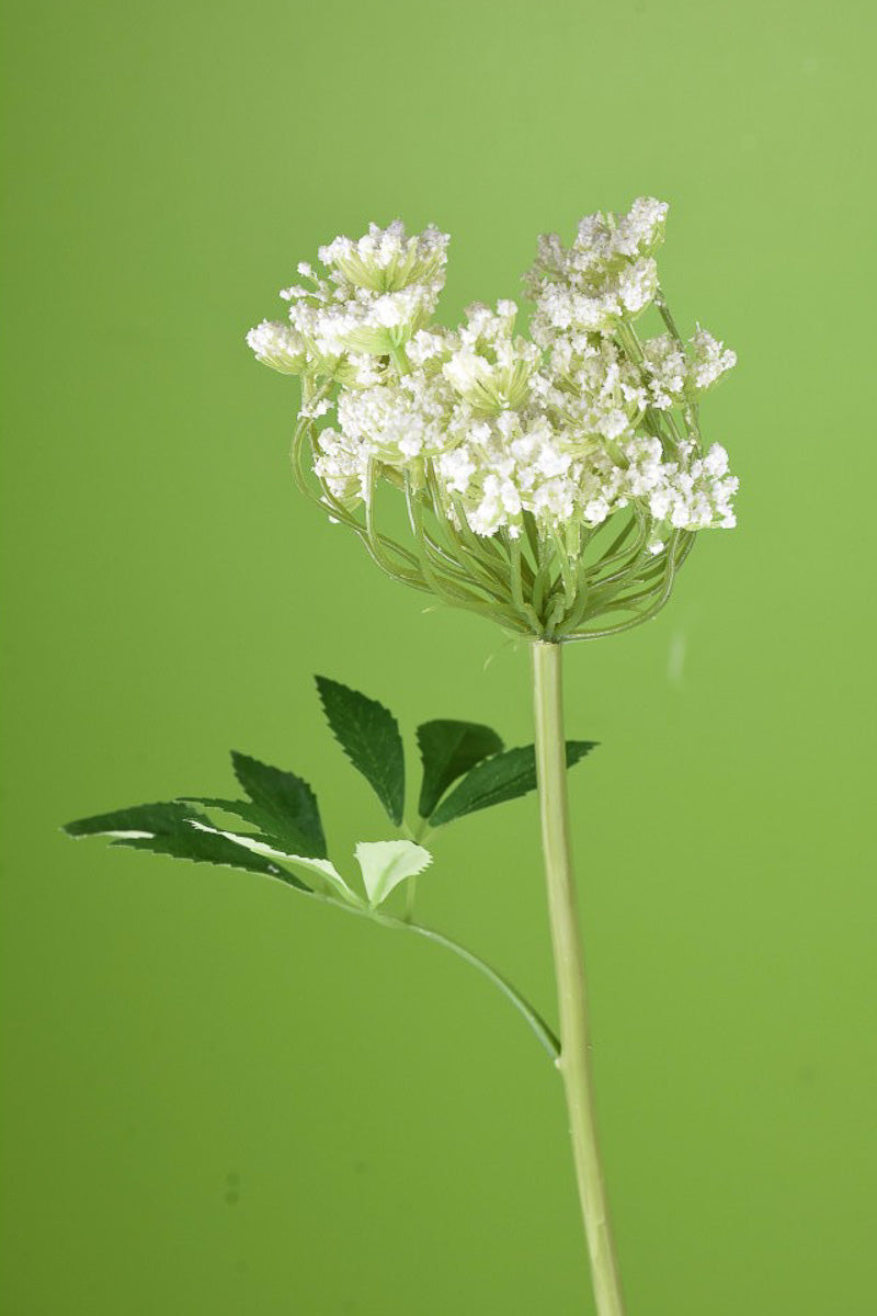 SILK WLD QUEEN ANN'S LACE SPRY