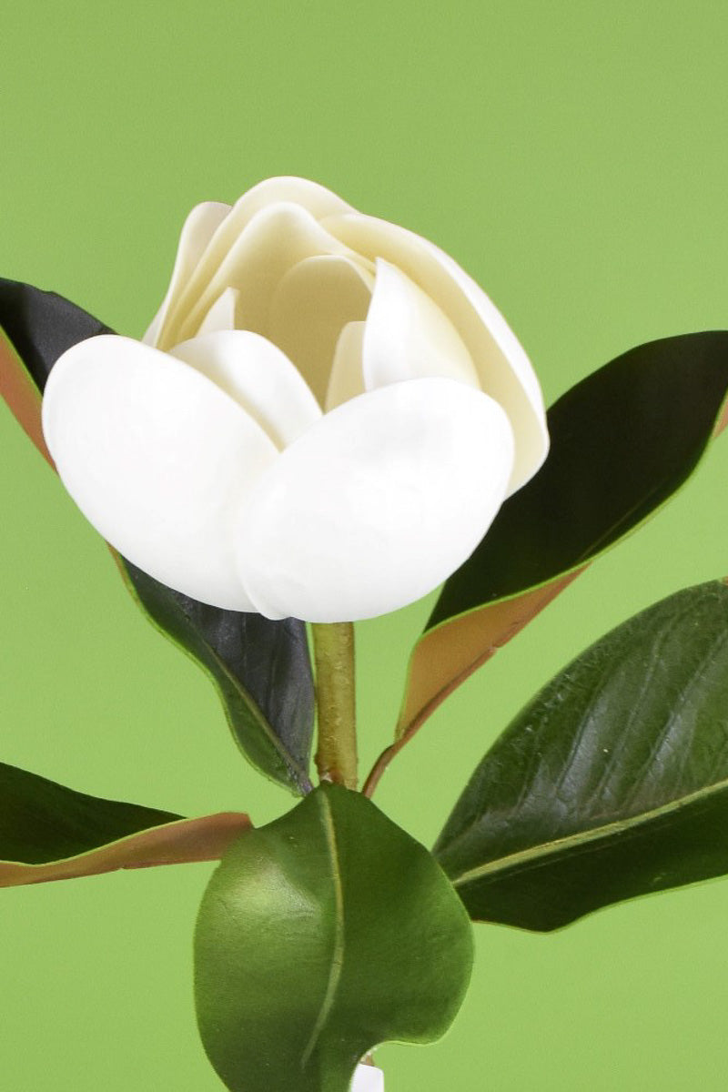 SILK MAGNOLIA X1 STEM 26" WH