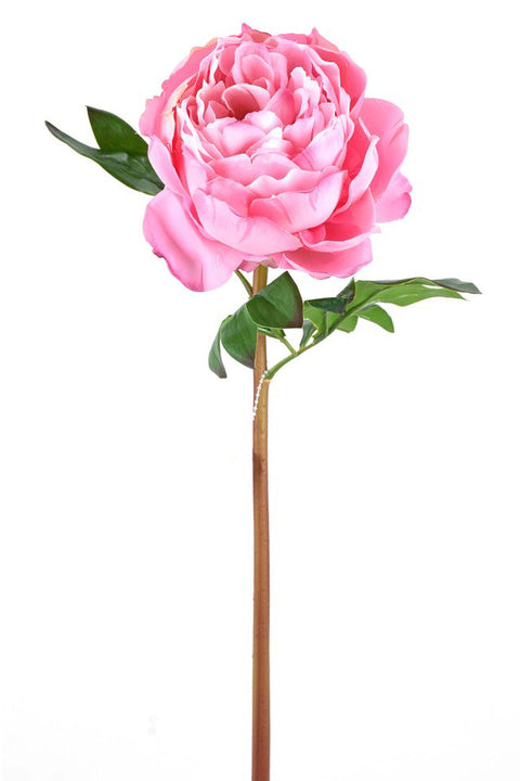 SILK PEONY STEM FT PINK 22"