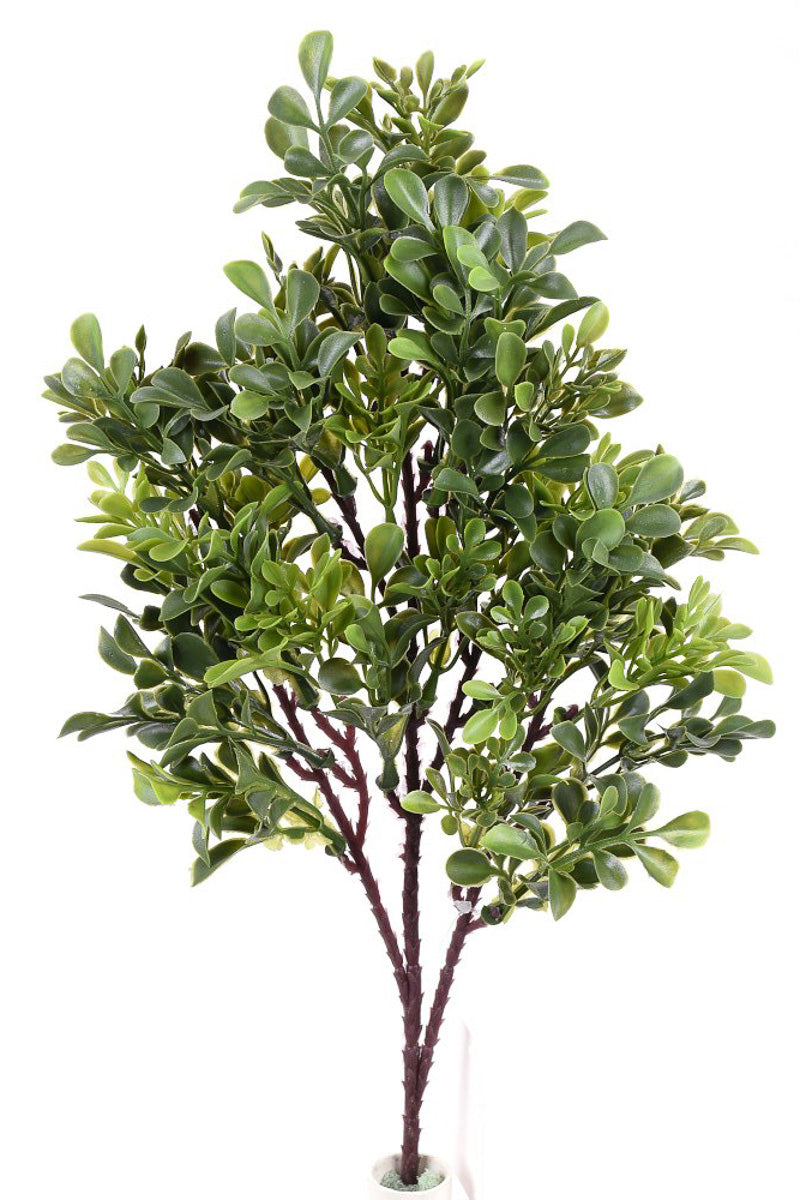 SILK, BOXWOOD SPRAY 16" GREEN