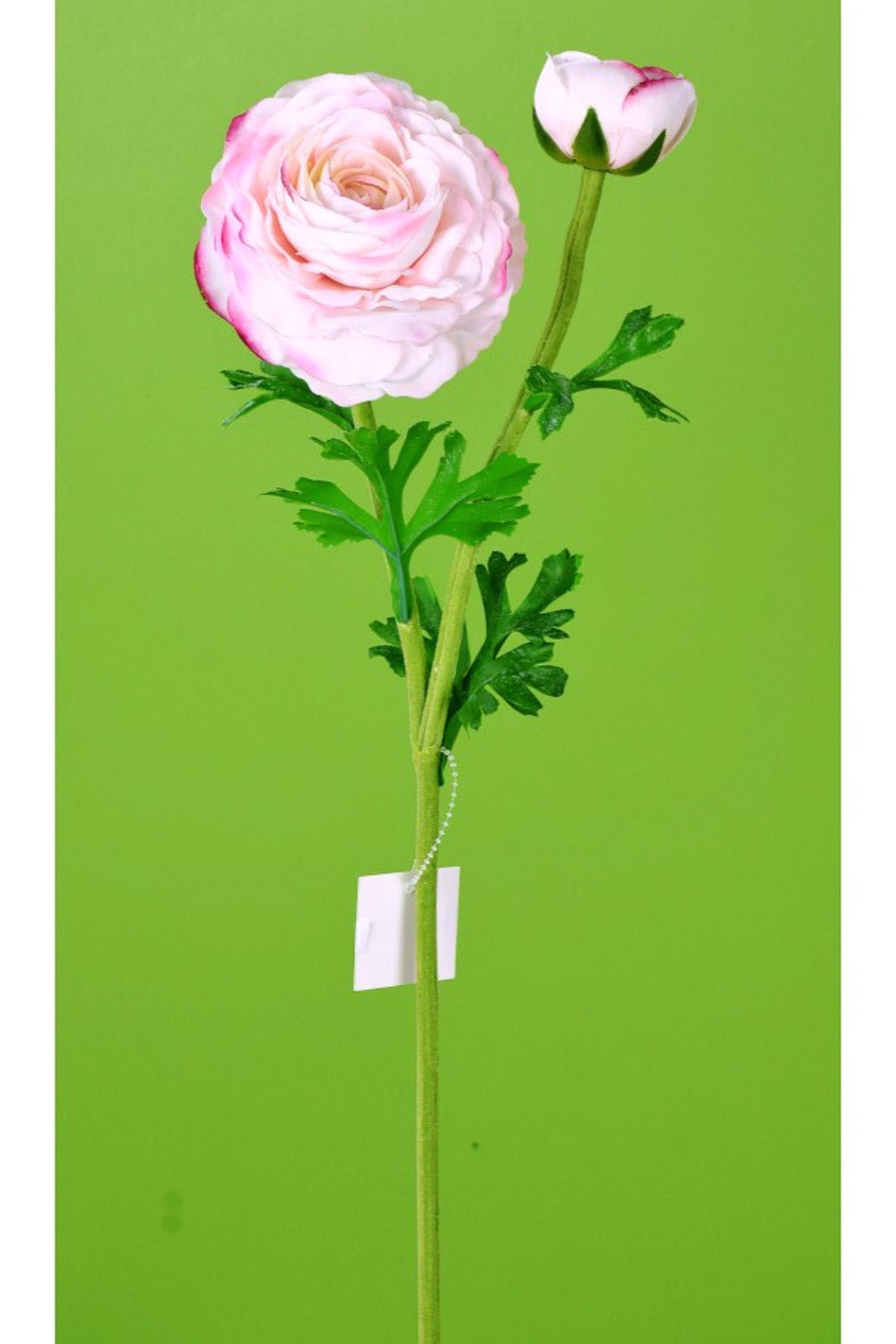 SILK RANUNCULUS STEM FT 23"