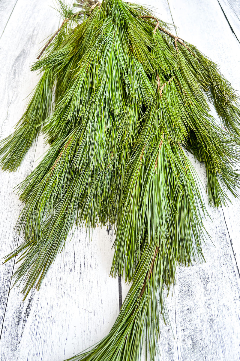 Pine, White