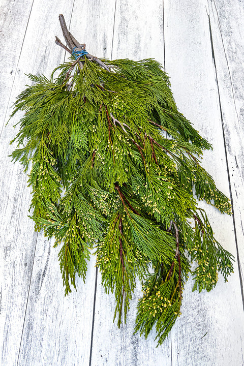 Cedar Incense Tip