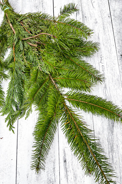 Mixed Cedar Noble P Bouquet