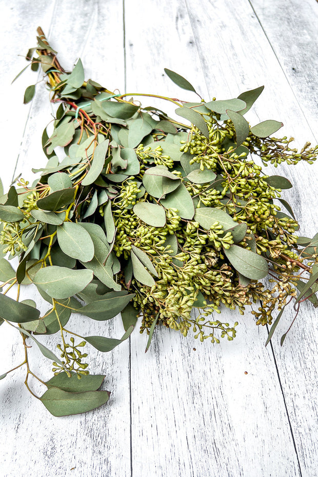 Eucalyptus, Seeded with Leaves Natural