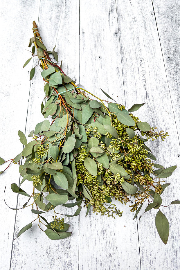 Eucalyptus, Seeded with Leaves Natural