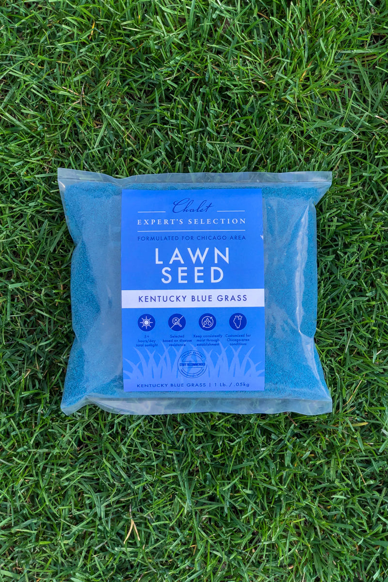 Chalet Lawn Seed Kentucky Blue Grass 1 lb