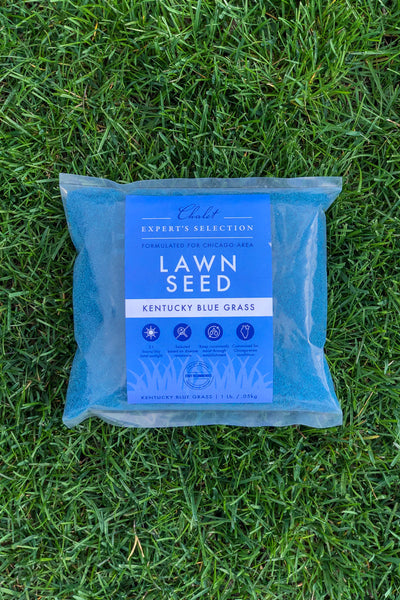 Chalet Lawn Seed Kentucky Blue Grass 1 lb