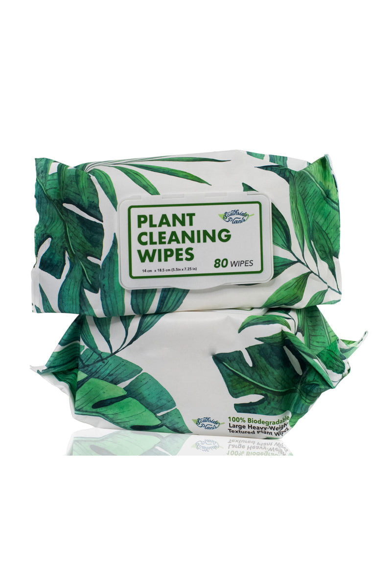 indoor plant leaf wipes Southside Plants Houseplant Cleaning Wipes – Chalet