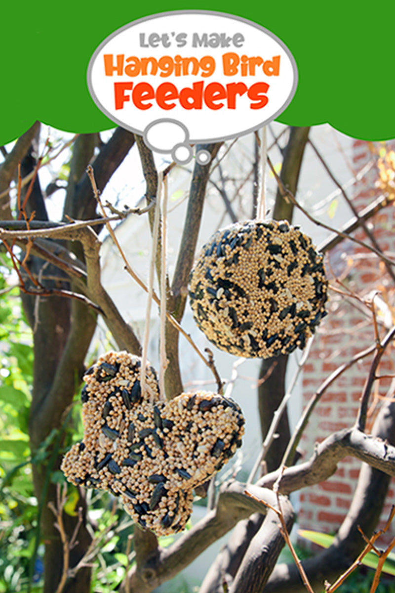 KIT, BIRD SEED FEEDER