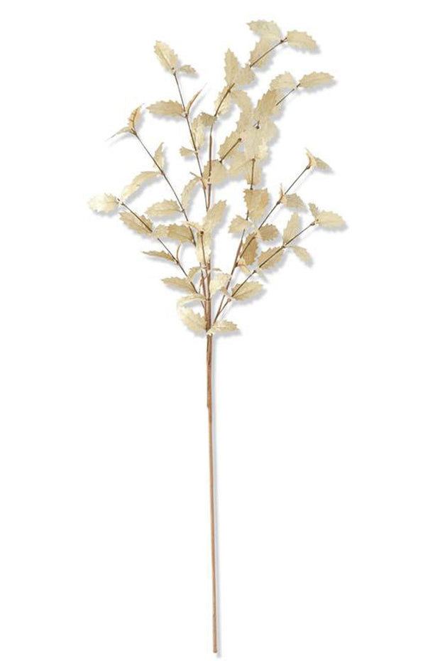 Cream with Gold Holly Leaf Stem 36"