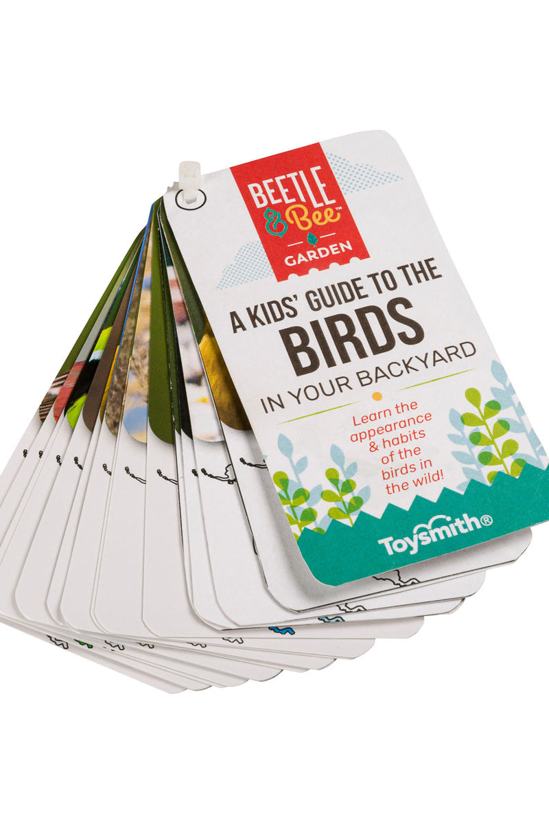 Beetle & Bee Garden Little Birder Set