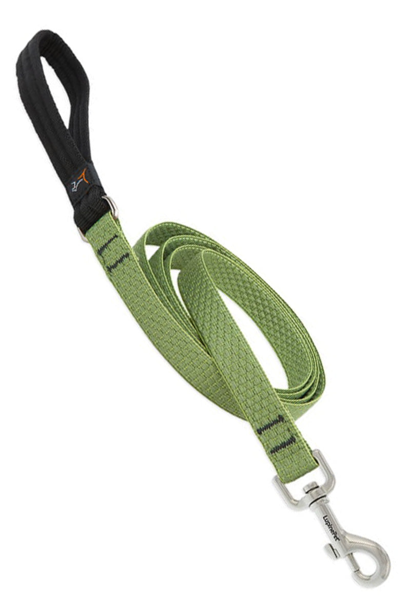 Lupine Eco Leash Moss 3/4" x 6'