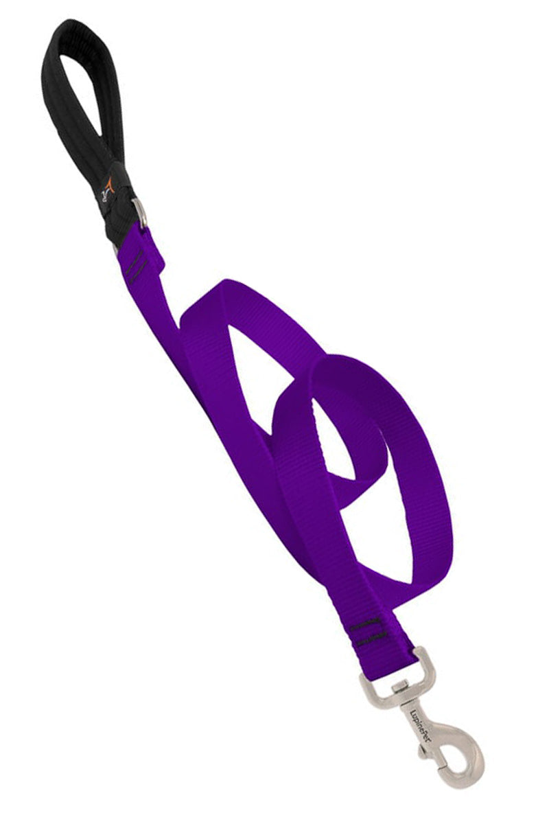 Lupine Leash Purple 1" x 6'