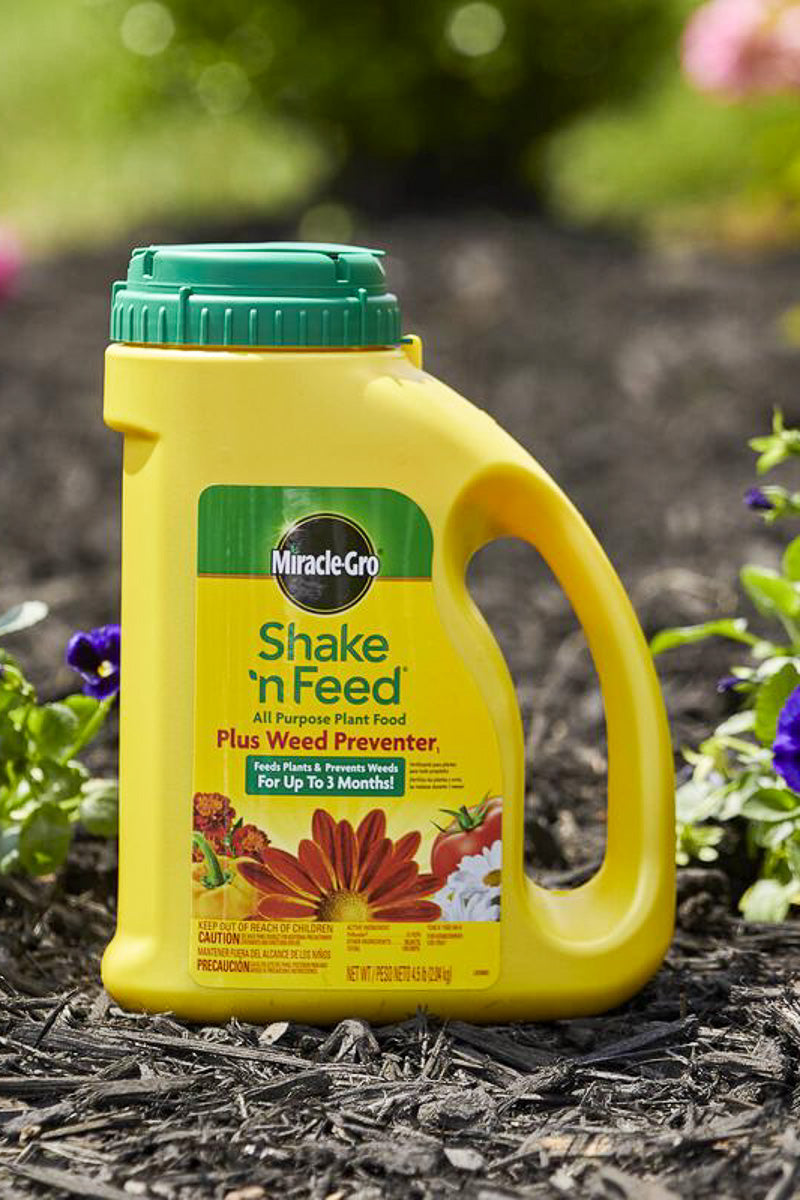 miracle-gro 2.04kg shake n feed all purpose plant fertilizer Miracle-Gro Shake 'N Feed 4.5 Lb. All Purpose Plant Food Plus Weed Preventer