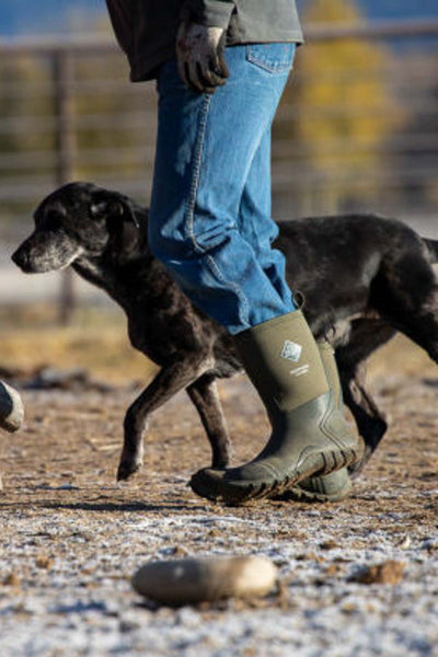 Chalet-Chicago-muck-rainboots-  display picture 3