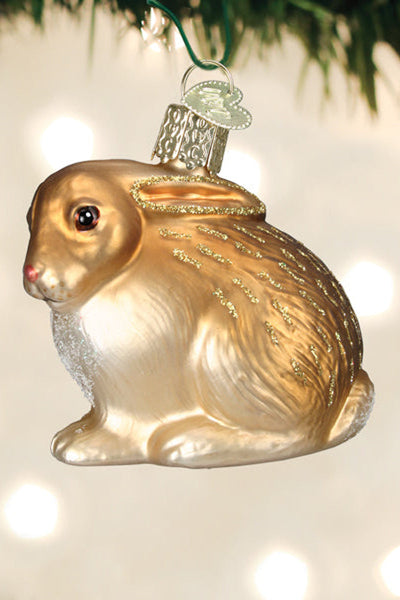 Cottontail Bunny Ornament Assorted