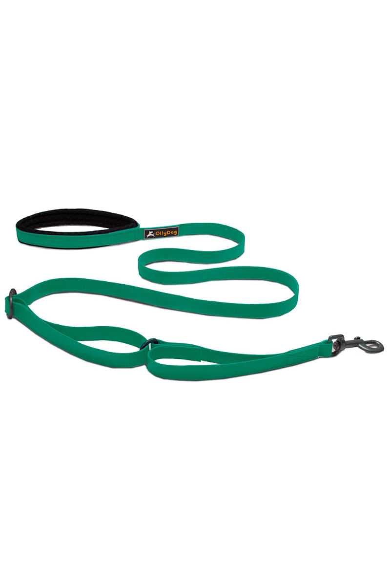 Olly Dog Tilden Waterproof Dog Leash 72" Teal