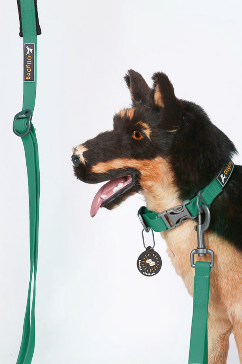 Olly Dog Tilden Waterproof Dog Leash 72" Teal