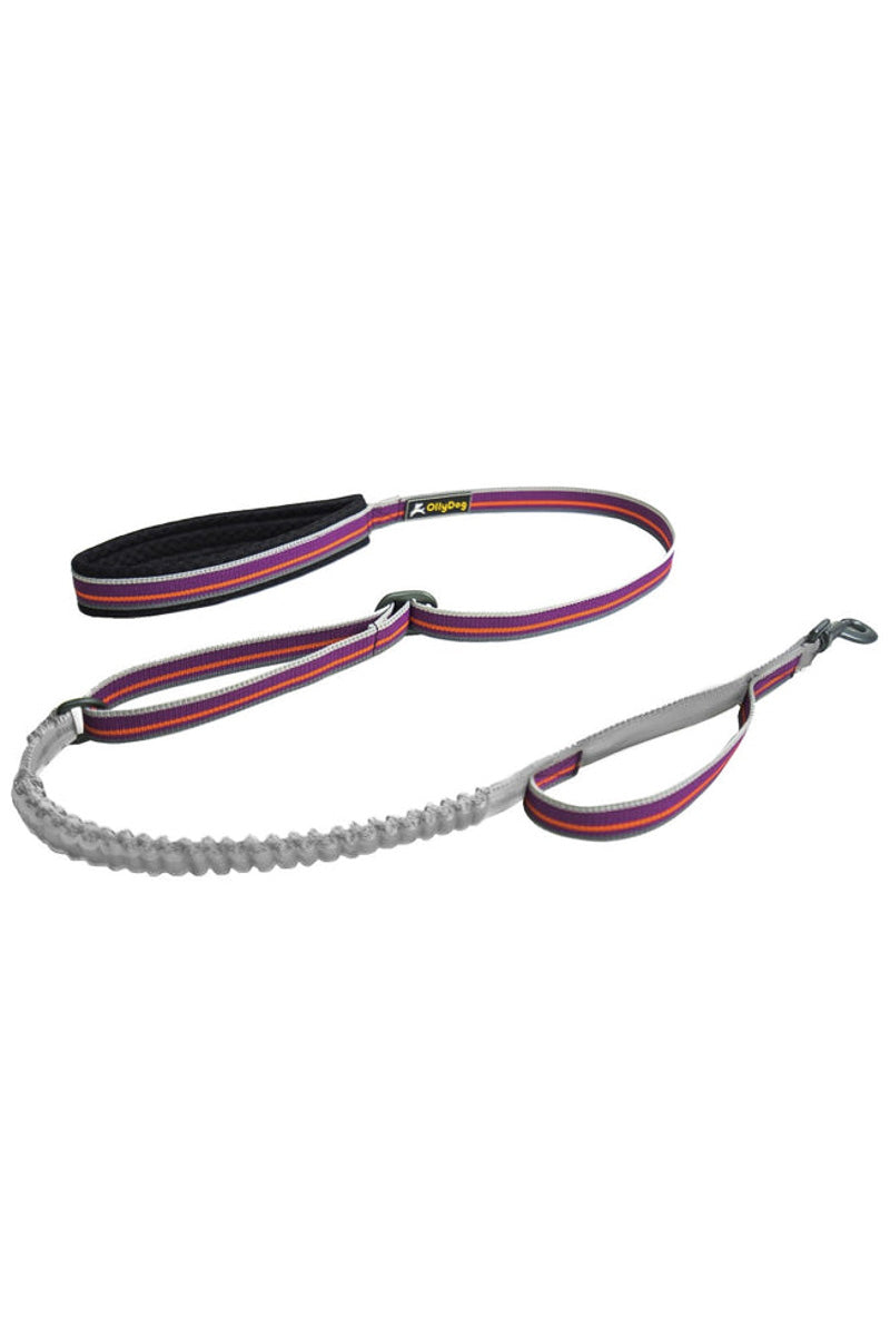 Olly Dog Urban Journey Reflective Adjustable Dog Leash Wild Aster