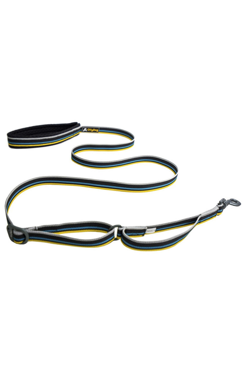 Olly Dog Urban Journey Reflective Adjustable Dog Leash Anthracite