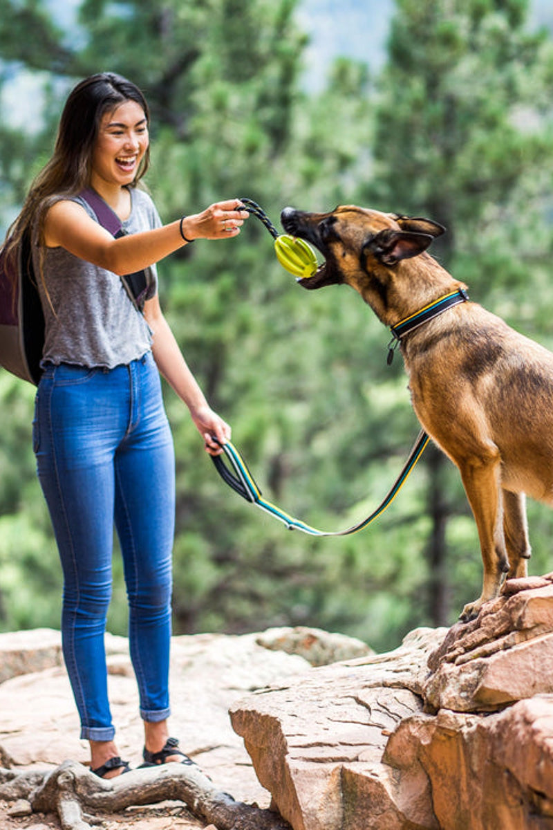 Olly Dog Urban Journey Reflective Adjustable Dog Leash Anthracite