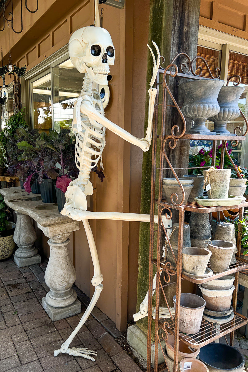 Pose and Hold Skeleton 7'