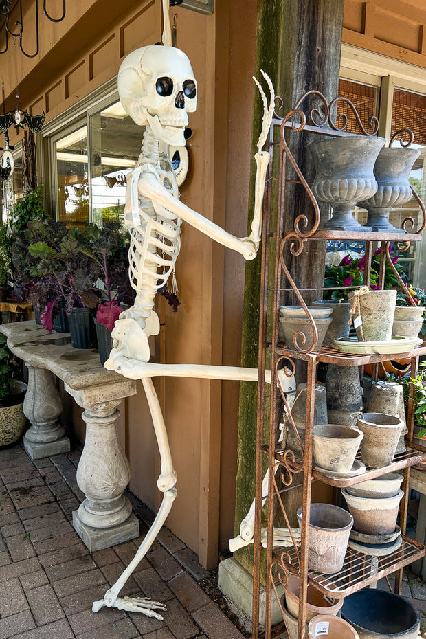 Pose and Hold Skeleton 7ft