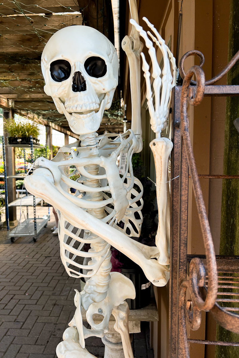 Pose and Hold Skeleton 7'