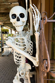 Pose and Hold Skeleton 7ft