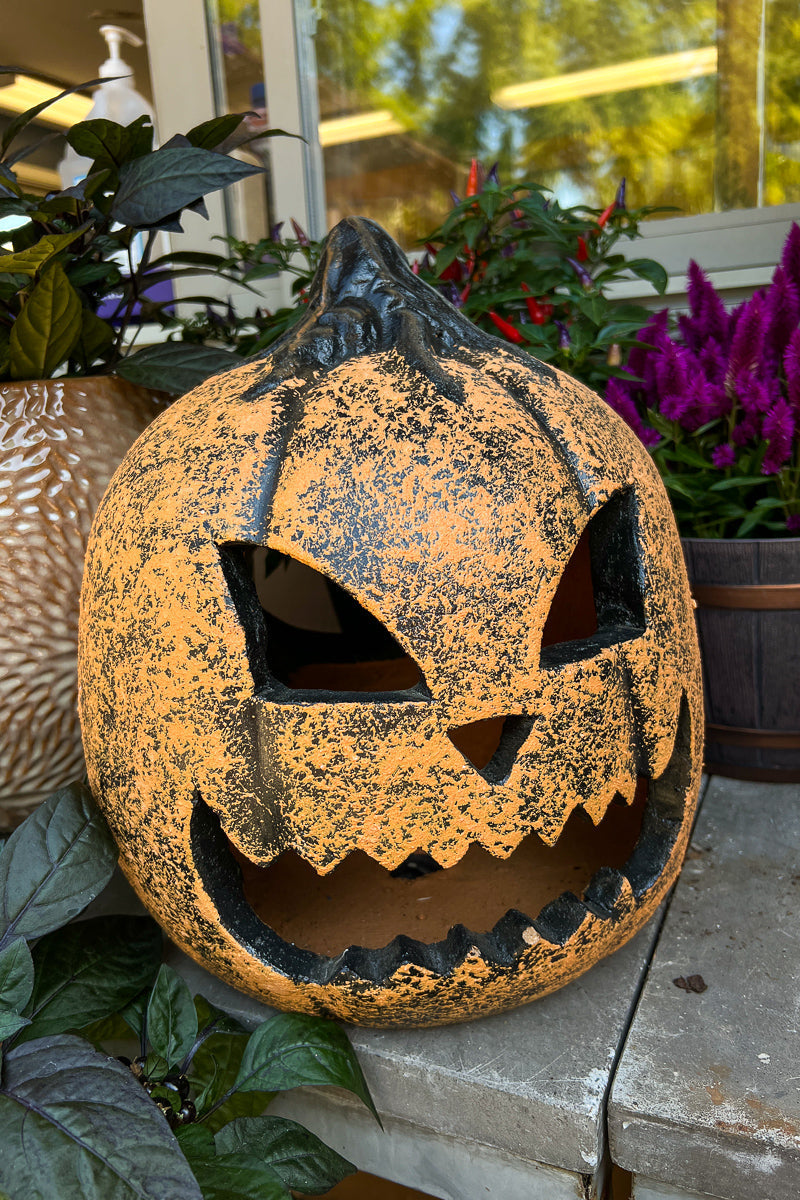Count Dracula Jack Pumpkin