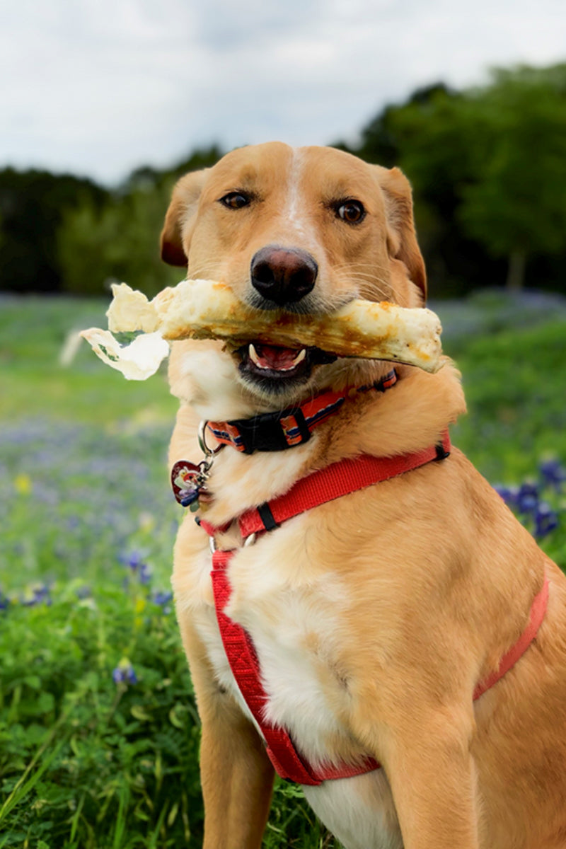 Earth Animal No-Hide Chicken Roll Small