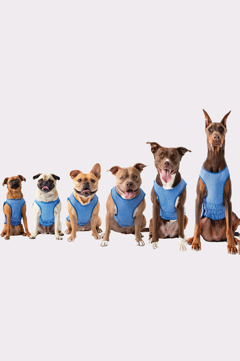 GF Pet Ice Vest Large