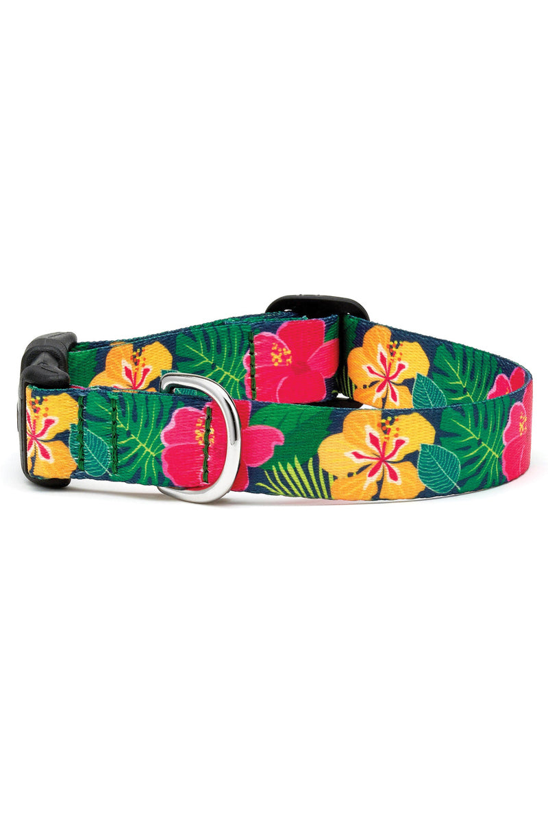 Up Country Hibiscus Dog Collar Small Narrow