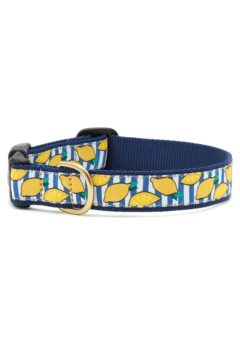 COLLAR, NARROW LEMONADE XS