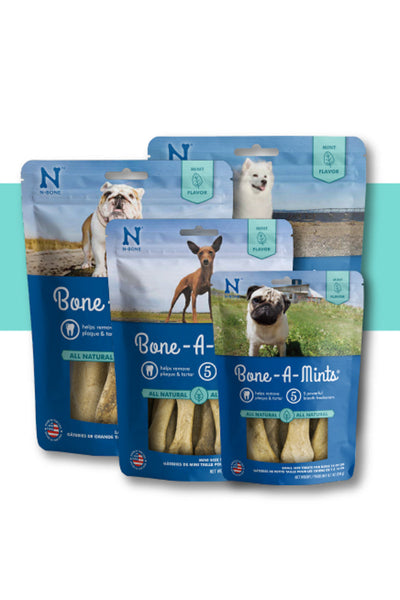 CHEW, BONE-A-MINT MEDIUM 6PK