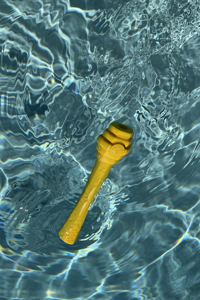 Project Hive Fetch Stick