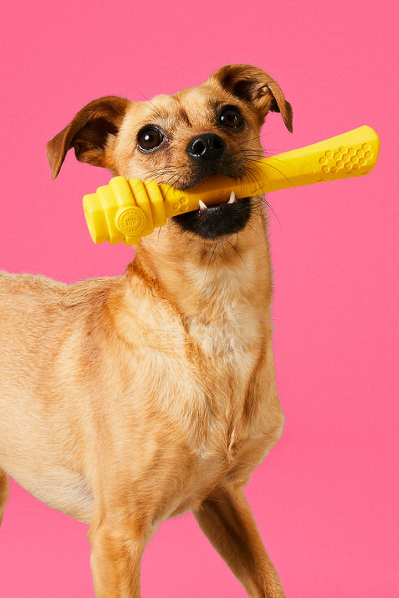 Project Hive Fetch Stick