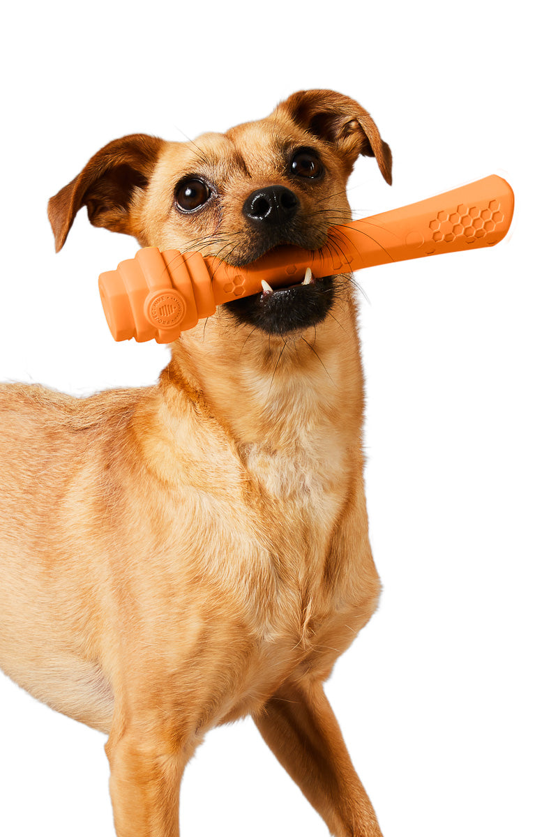 Project Hive Mango Fetch Stick