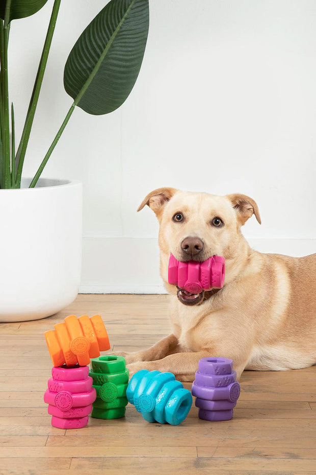 Project Hive Berry Chew Toy LG