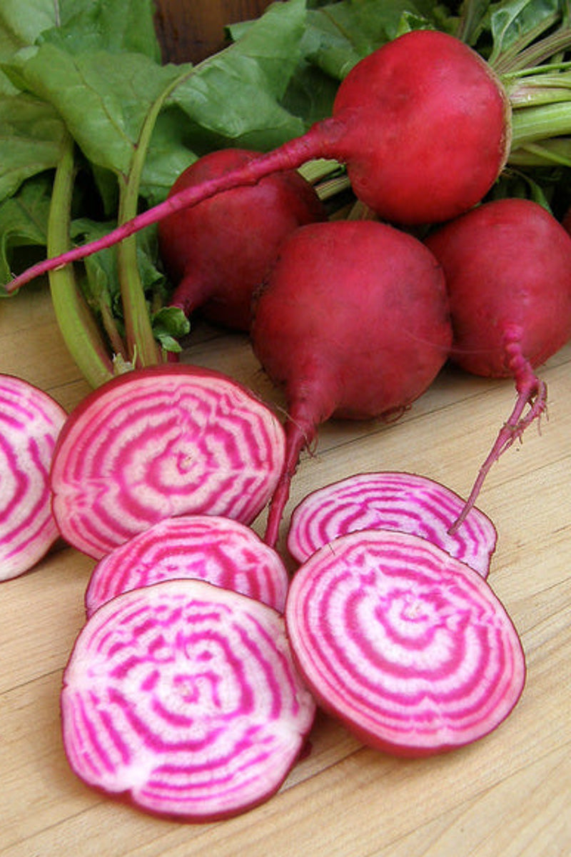 Renee's Garden Heirloom Beets Traditional Chioggia Organic Seeds