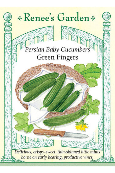 Renee's Garden Persian Baby Cucumbers Green Fingers Seeds