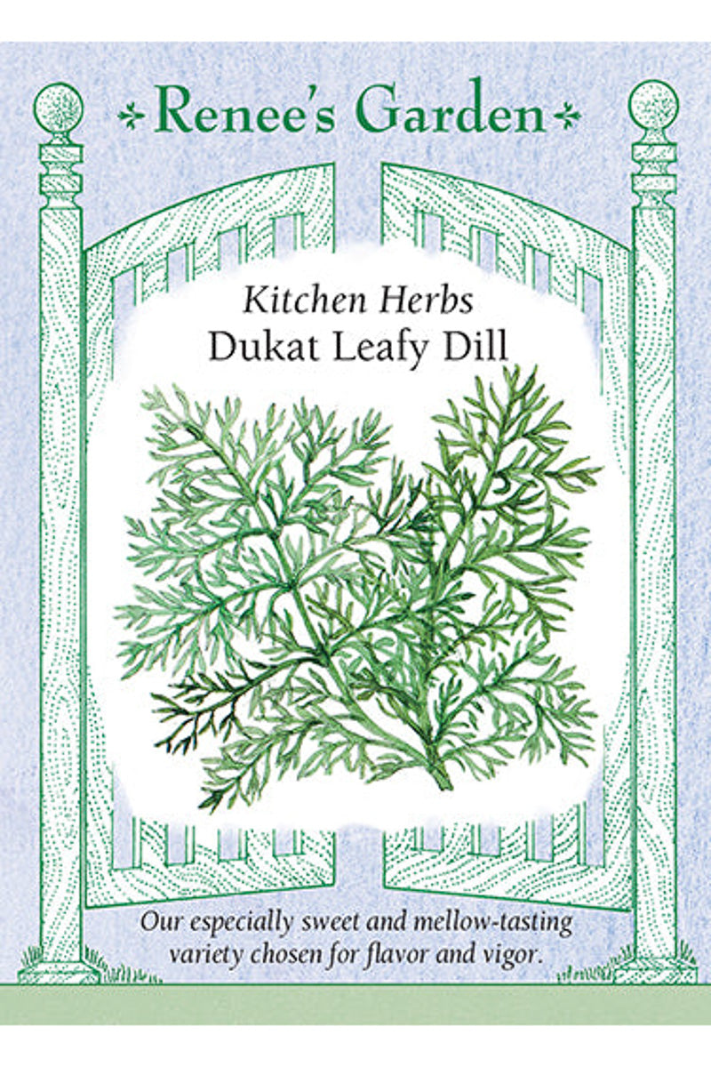 Renee's Garden Kitchen Herbs Dukat Leafy Dill Seeds