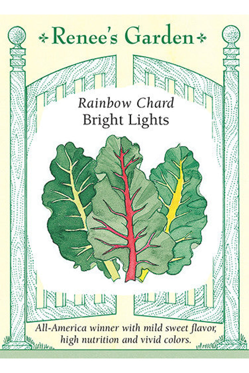 Renee's Garden Rainbow Chard Bright Lights Seeds