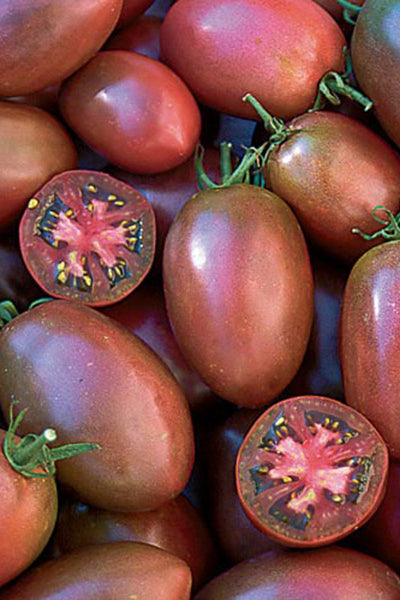Seed Savers Ukrainian Purple Tomato